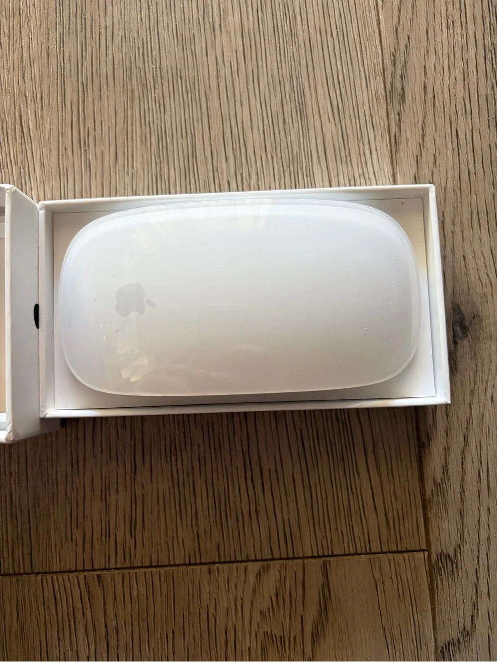 Apple Silver Wireless Mouse with Black Accents